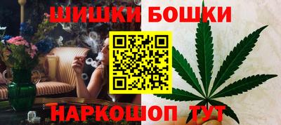 jwh Новозыбков