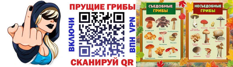 ссылка на мегу маркетплейс  где можно купить   Петровск  Галлюциногенные грибы прущие грибы 