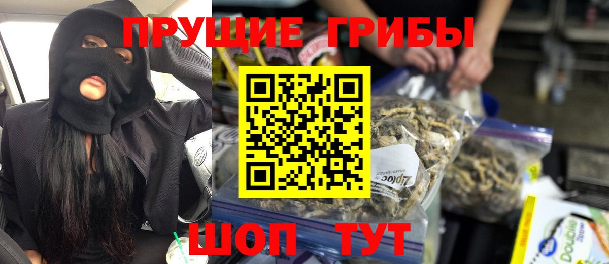 Петровск  Галлюциногенные грибы Magic Shrooms  Вход с VPN 
