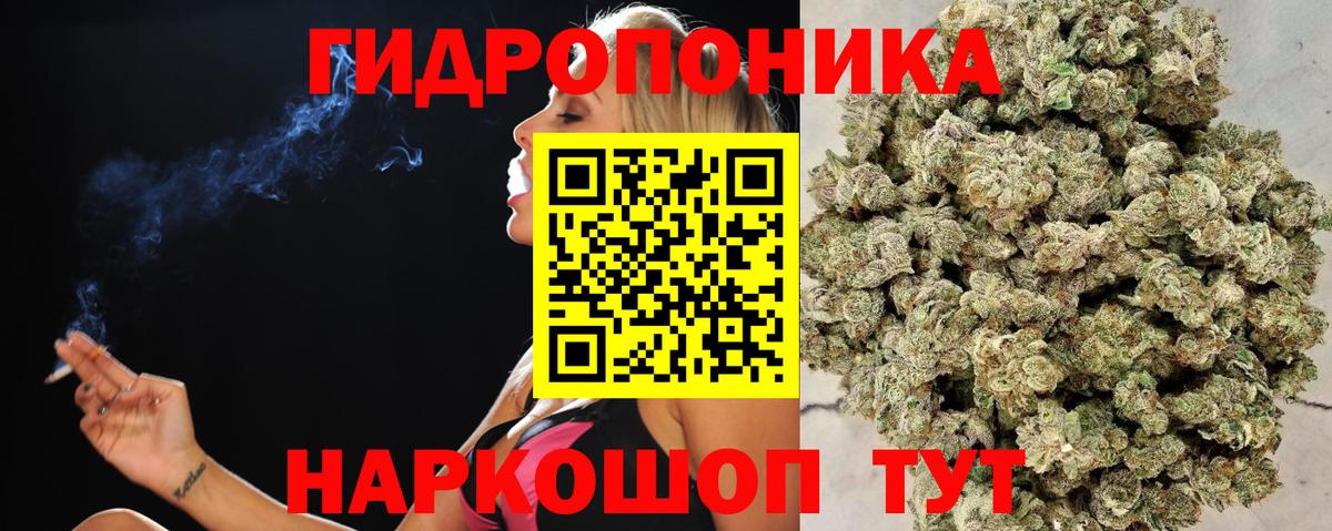 Конопля семена  МАРИХУАНА White Widow  Вход с VPN  Марихуана THC 21%  Петровск 